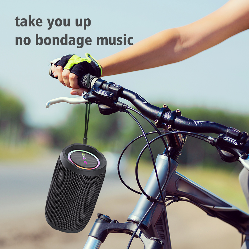 ZEALOT-S49 Portable Bluetooth  - огляд і ціна Holy Stone Drone Hs175